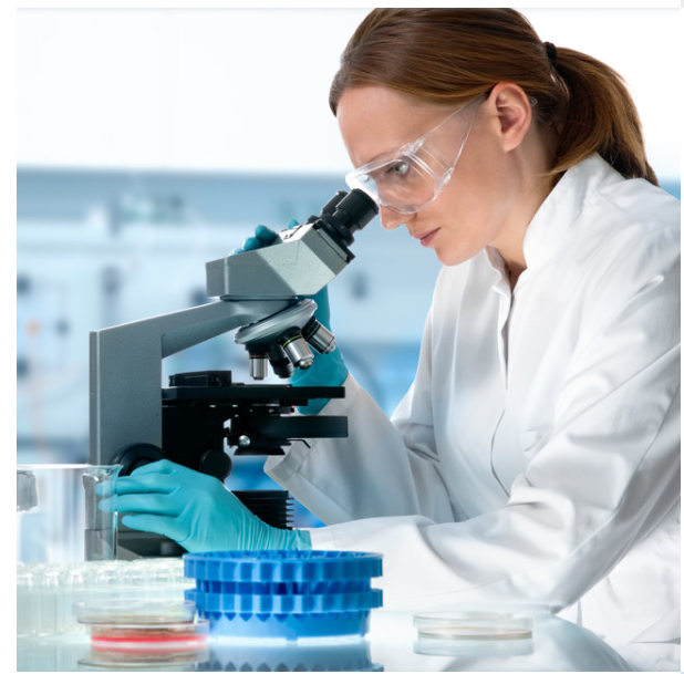 Фармакологиялык көзөмөл системасынын иштешин камсыздоо